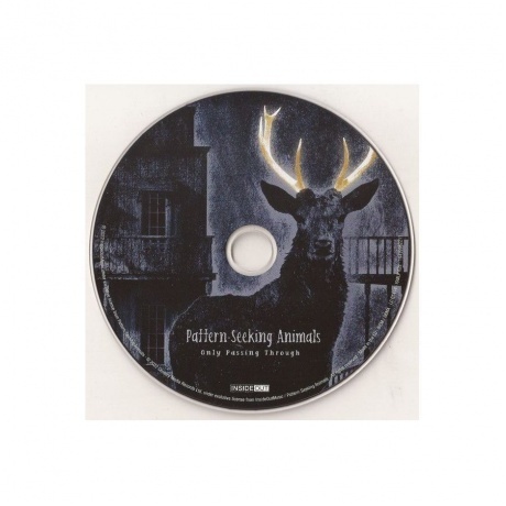 Pattern-Seeking Animals - Only Passing Through (0194399822111) виниловая пластинка - фото 8