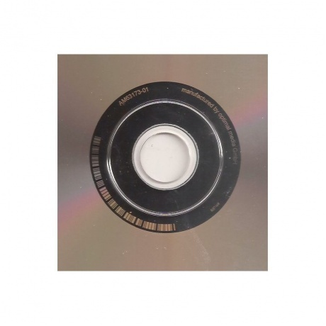 Pattern-Seeking Animals - Only Passing Through (0194399822111) виниловая пластинка - фото 9