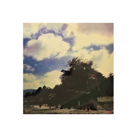 0753088223013, Виниловая пластинка Reiner, Fritz, Spain (Analogue) - фото 4