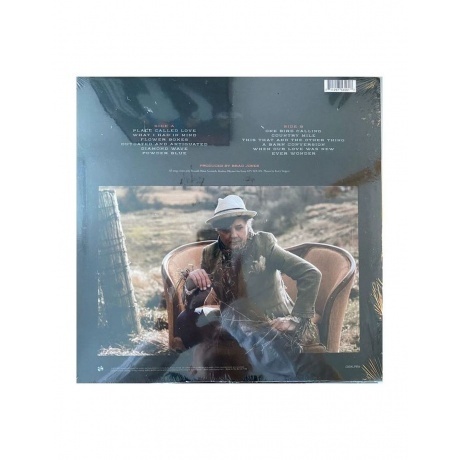 Ron Sexsmith - The Vivian Line (0711297535617) виниловая пластинка - фото 2