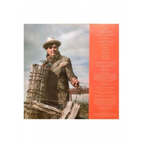 Ron Sexsmith - The Vivian Line (0711297535617) виниловая пластинка - фото 4