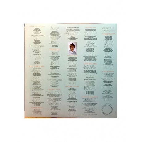 Ron Sexsmith - The Vivian Line (0711297535617) виниловая пластинка - фото 5