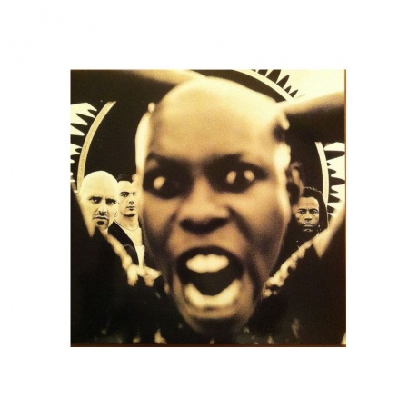 5016958029715, Виниловая пластинка Skunk Anansie, Stoosh