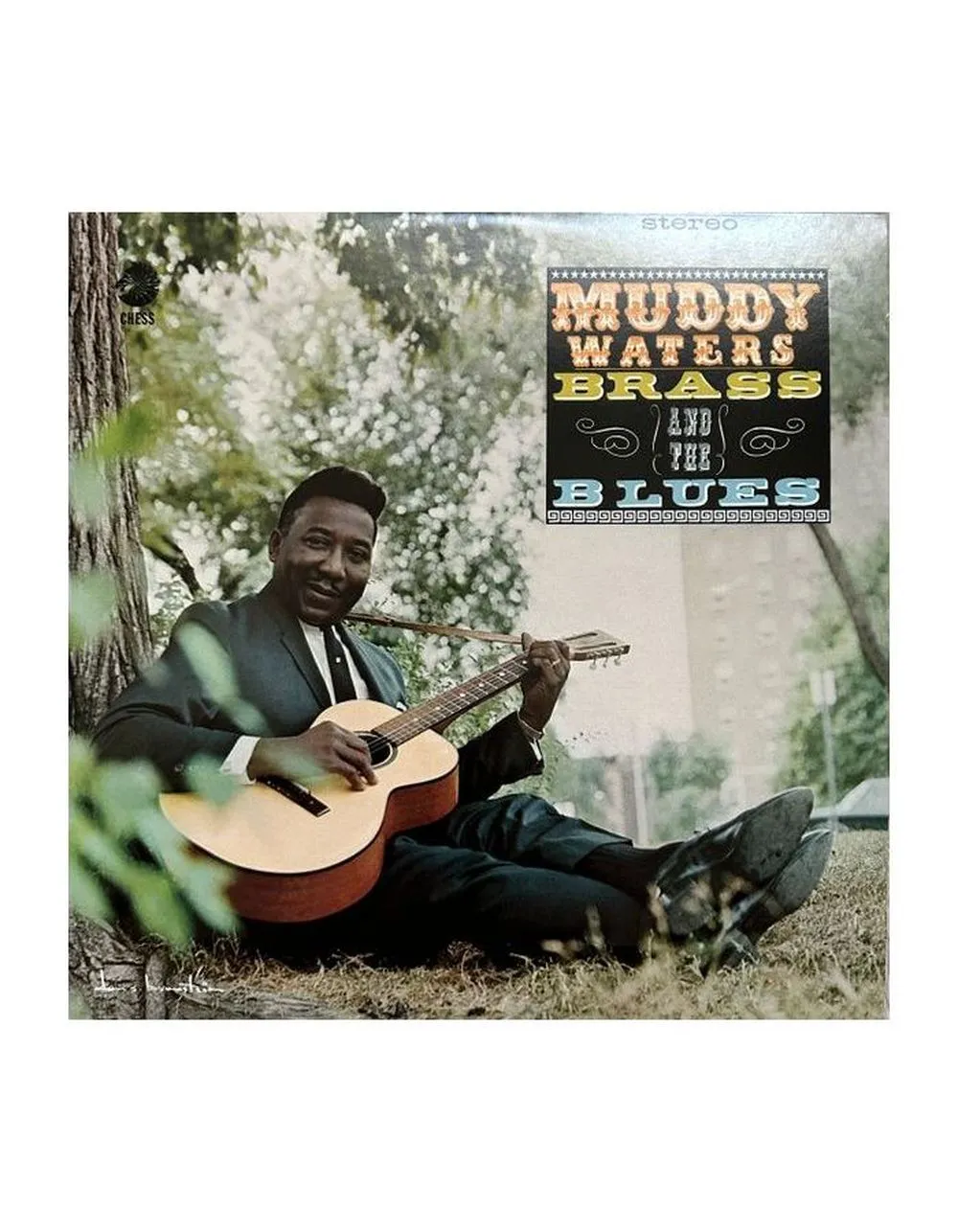 8435395503300, Виниловая пластинка Waters, Muddy, Muddy, Brass &amp; The Blues - фото 1