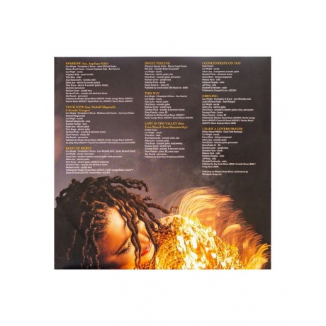 0810069450889, Виниловая пластинка Wright, Lizz, Shadow (coloured) - фото 10