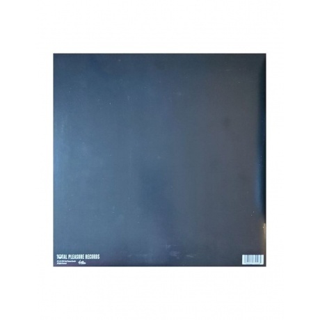 St. Vincent - All Born Screaming (0196922755484) виниловая пластинка - фото 2