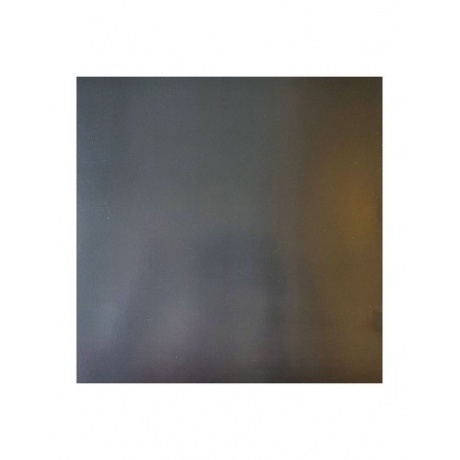 St. Vincent - All Born Screaming (0196922755484) виниловая пластинка - фото 4