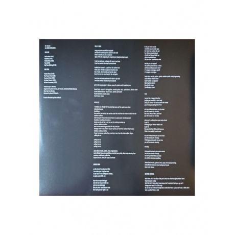 St. Vincent - All Born Screaming (0196922755484) виниловая пластинка - фото 6