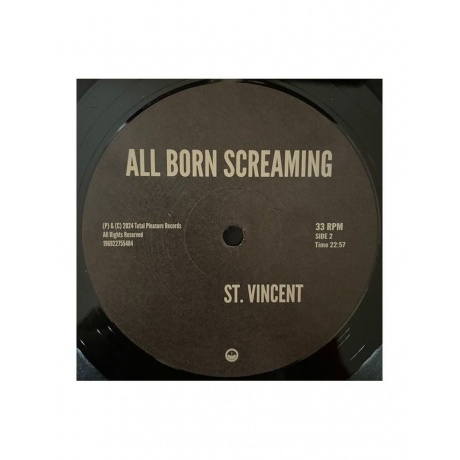 St. Vincent - All Born Screaming (0196922755484) виниловая пластинка - фото 9