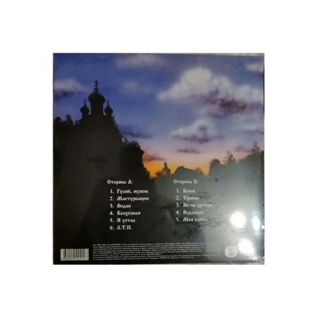 Сектор Газа - Гуляй, мужик! (4660275009007) виниловая пластинка - фото 2