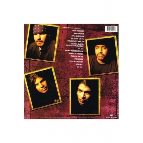 Suicidal Tendencies - The Art Of Rebellion (8719262001237) виниловая пластинка - фото 2