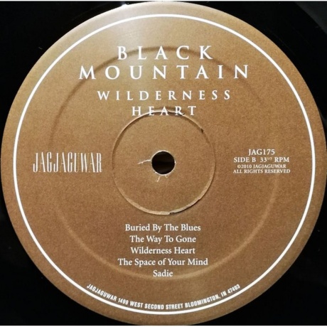 Black Mountain - Wilderness Heart (0656605217512) виниловая пластинка - фото 5