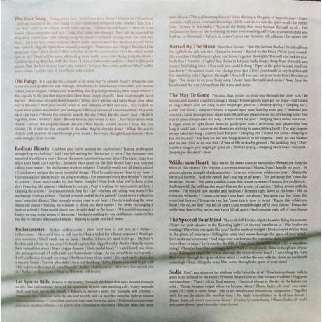 Black Mountain - Wilderness Heart (0656605217512) виниловая пластинка - фото 7