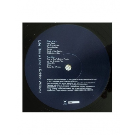 Williams, Robbie Life Thru A Lens 0602435503950 виниловая пластинка - фото 4