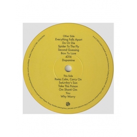 Isobel Campbell - Bow To Love (coloured) (0711297920901) виниловая пластинка - фото 6