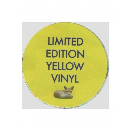 Isobel Campbell - Bow To Love (coloured) (0711297920901) виниловая пластинка - фото 10