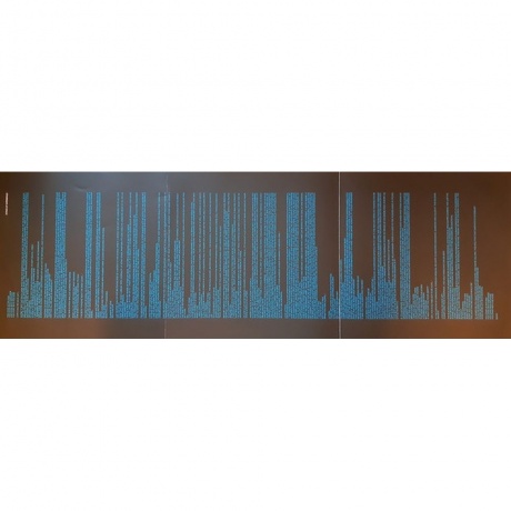 U2 - Songs Of Experience (coloured) (0602557977042) виниловая пластинка - фото 12