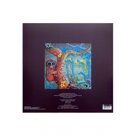 Ozric Tentacles - The Yum Yum Tree (0802644808918) виниловая пластинка - фото 2