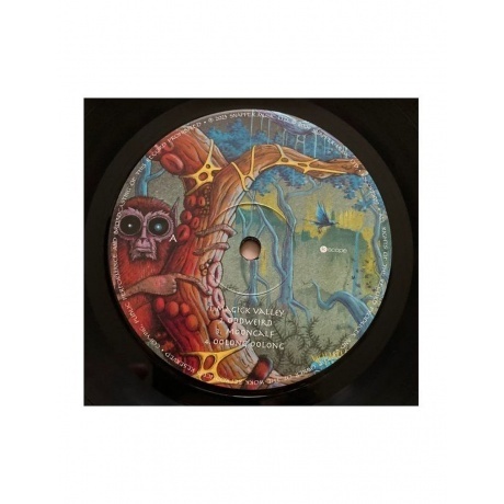 Ozric Tentacles - The Yum Yum Tree (0802644808918) виниловая пластинка - фото 3