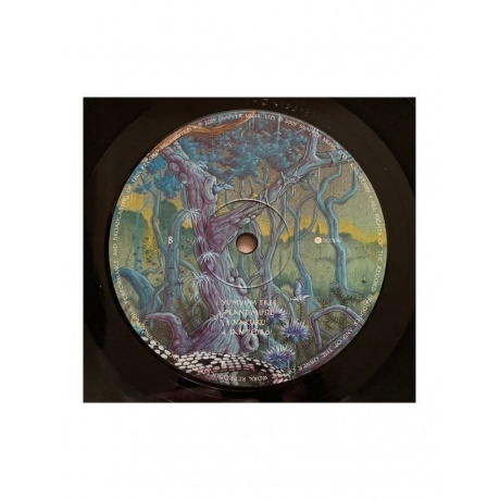 Ozric Tentacles - The Yum Yum Tree (0802644808918) виниловая пластинка - фото 4