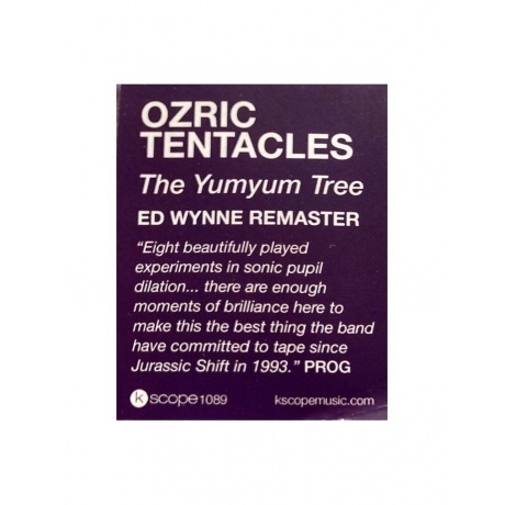 Ozric Tentacles - The Yum Yum Tree (0802644808918) виниловая пластинка - фото 5