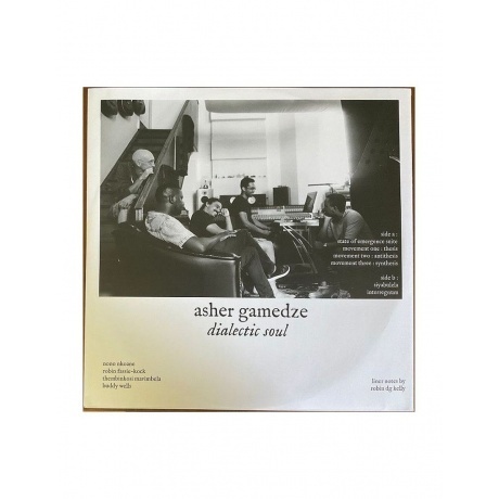 Asher Gamedze - Dialectic Soul (coloured) (4062548060478) виниловая пластинка - фото 10