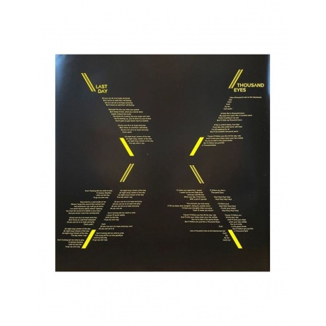 Виниловая пластинка  Shining International Blackjazz Society 0602547381101 - фото 14