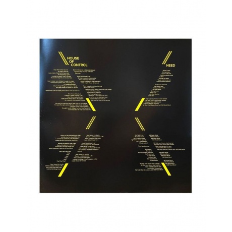 Виниловая пластинка  Shining International Blackjazz Society 0602547381101 - фото 15