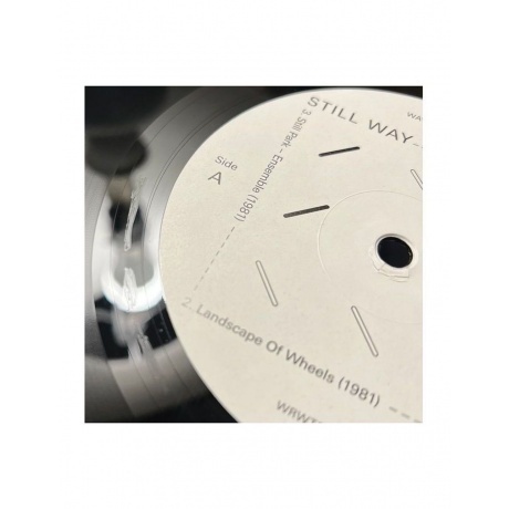 Satoshi Ashikawa - Still Way (4260544827020) виниловая пластинка - фото 8