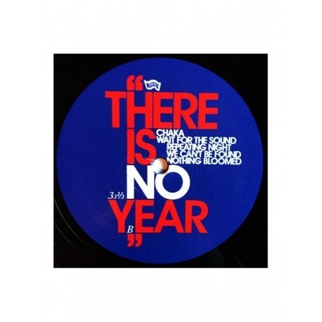 Algiers - There Is No Year (0744861143918) виниловая пластинка - фото 11