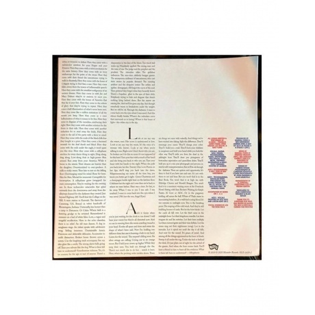 Algiers - There Is No Year (0744861143918) виниловая пластинка - фото 8