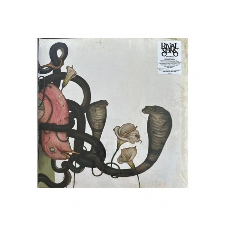 

Rival Sons - Head Down (0787790458883) виниловая пластинка