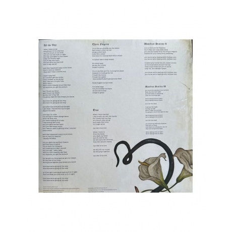 Rival Sons - Head Down (0787790458883) виниловая пластинка - фото 4