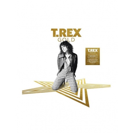 Виниловая пластинка  T. Rex Gold 5014797897335