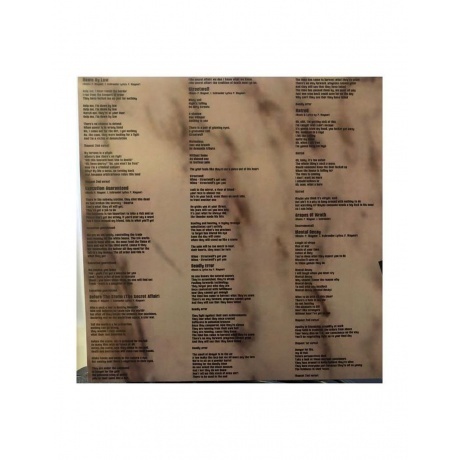 Rage - Execution Guaranteed (4260255244390) виниловая пластинка - фото 2