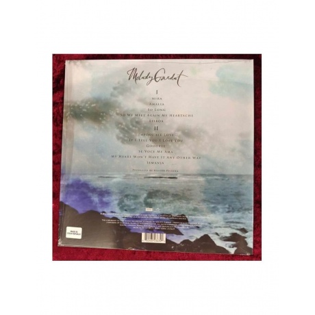 Виниловая пластинка  Gardot, Melody The Absence 0602465236392 - фото 2