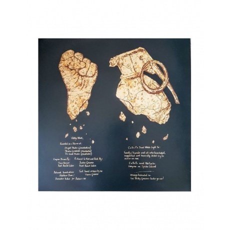 Crippled Black Phoenix - Bronze (0822603139914) виниловая пластинка - фото 5