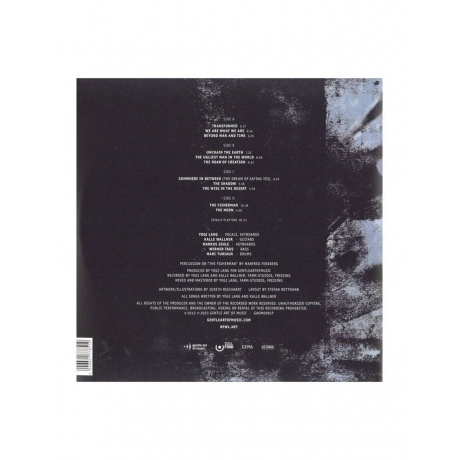 RPWL - Beyond Man And Time (4046661778519) виниловая пластинка - фото 2