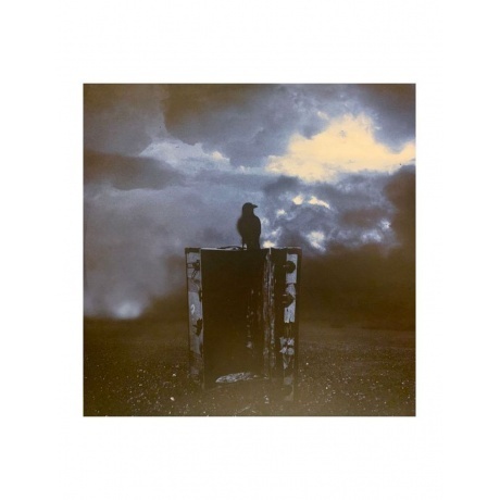 Katatonia - Tonight's Decision (0801056807618) виниловая пластинка - фото 11