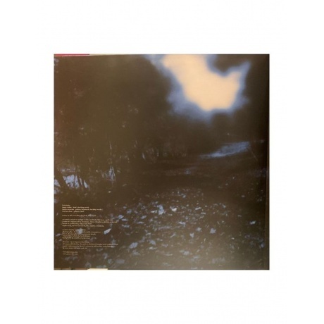 Katatonia - Tonight's Decision (0801056807618) виниловая пластинка - фото 4