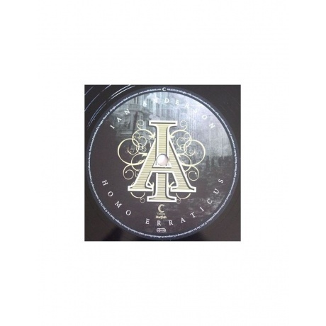 Ian Anderson - Homo Erraticus (0636551812016) виниловая пластинка - фото 5