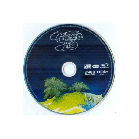 Виниловая пластинка  Yes Fragile - deluxe 0603497827770 - фото 20