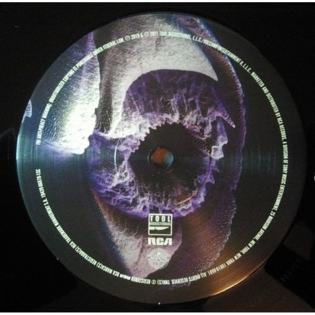 Tool - Fear Inoculum (Box) (0194398687919) виниловая пластинка - фото 4