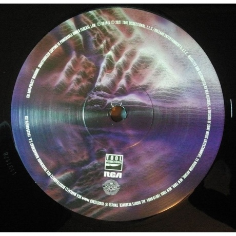 Tool - Fear Inoculum (Box) (0194398687919) виниловая пластинка - фото 5