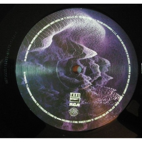 Tool - Fear Inoculum (Box) (0194398687919) виниловая пластинка - фото 6