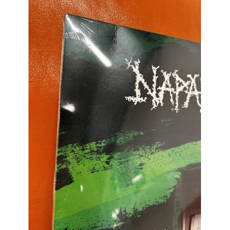Виниловая пластинка Napalm Death, Resentment Is Always Seismic (0194399522813) хорошее состояние - фото 2