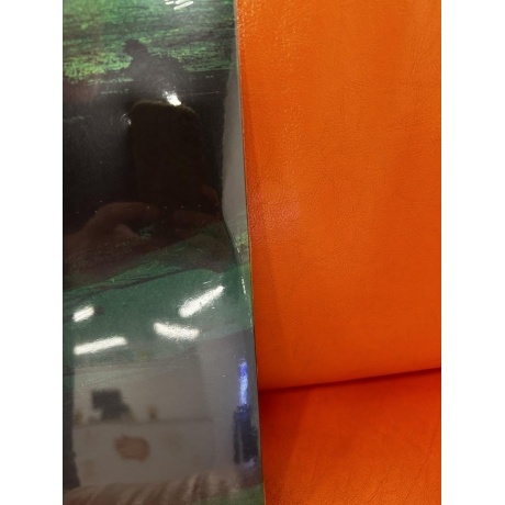 Виниловая пластинка Napalm Death, Resentment Is Always Seismic (0194399522813) хорошее состояние - фото 6