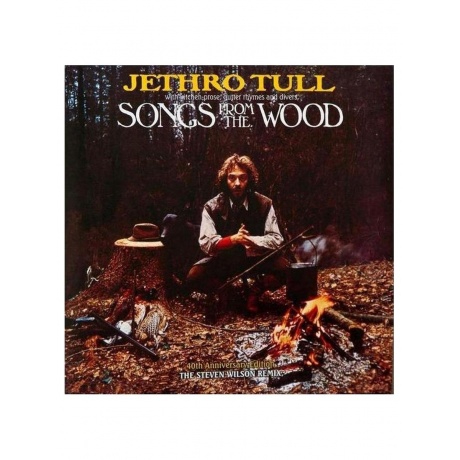 Виниловая пластинка Jethro Tull - Songs From The Wood 0190295847852 4940₽