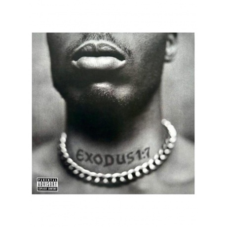 

DMX - Exodus (0602438261345) виниловая пластинка