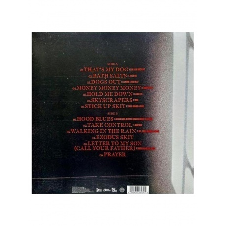 DMX - Exodus (0602438261345) виниловая пластинка - фото 2